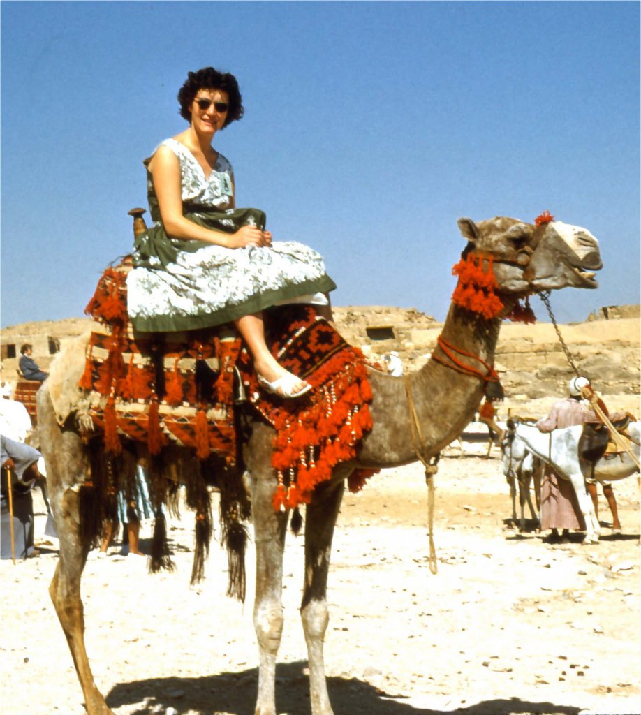 Joyce Pender on a Camel, Cairo 1959