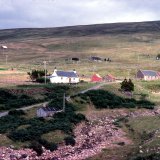 View of Melvaig Croft, Melvaig, near Gairloch, Scotland