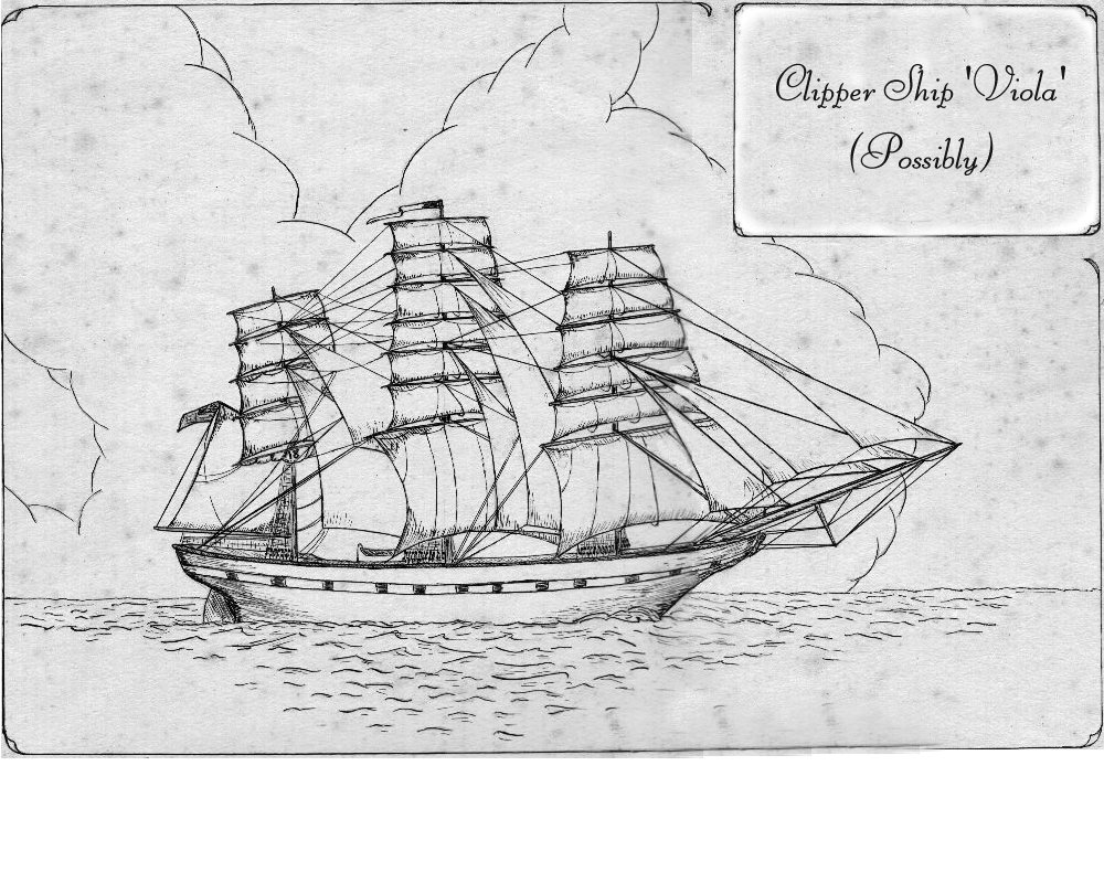 Picture of Clipper Ship, Viola (Possibly)
